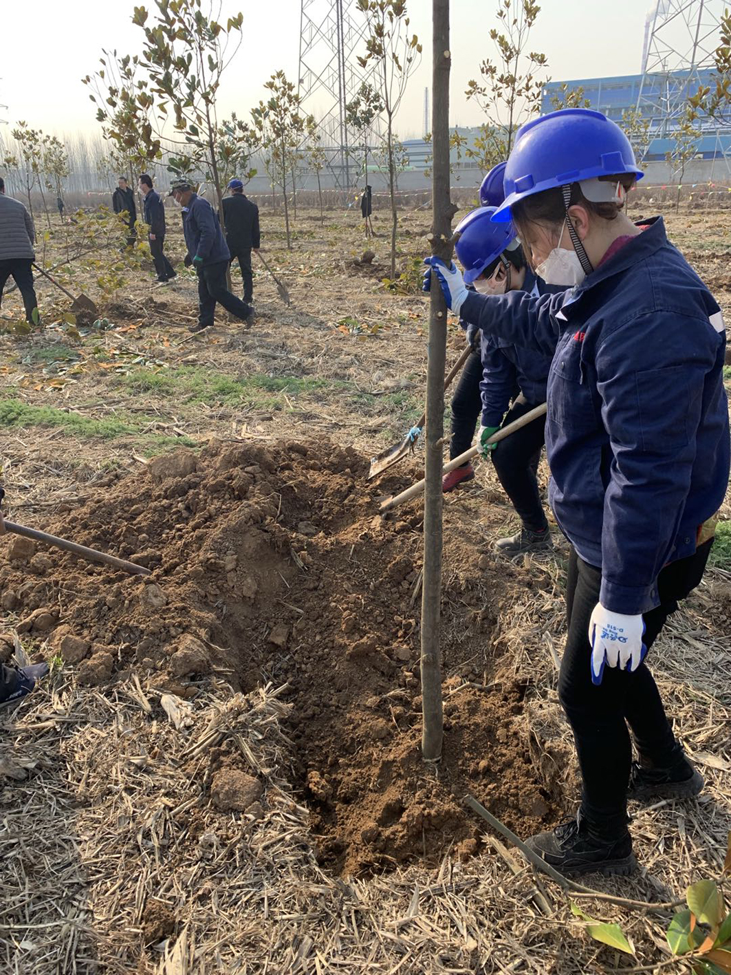 5e709281efab6.jpg 09.jpg